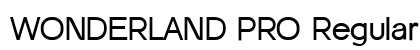 WONDERLAND PRO Regular preview