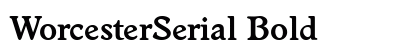 WorcesterSerial Bold preview