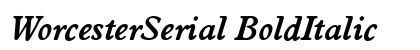 WorcesterSerial BoldItalic Preview