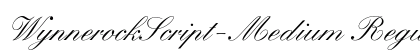 WynnerockScript-Medium Regular preview