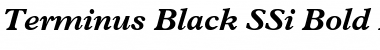 Terminus Black SSi Bold Italic Font