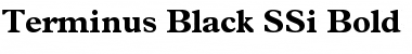 Terminus Black SSi Bold Font