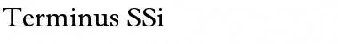 Terminus SSi Regular Font