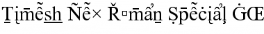 Times New Roman Special G2 Font