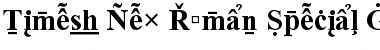 Times New Roman Special G2 Font