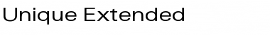 Unique Extended Regular Font