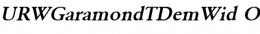 URWGaramondTDemWid Font