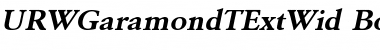 URWGaramondTExtWid Font