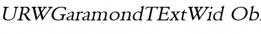 URWGaramondTExtWid Font