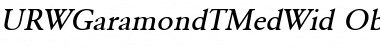 URWGaramondTMedWid Oblique Font