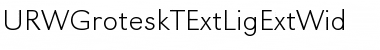 URWGroteskTExtLigExtWid Regular Font