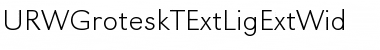 URWGroteskTExtLigExtWid Font