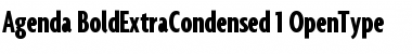 Agenda BoldExtraCondensed Font