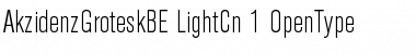 Berthold Akzidenz Grotesk BE Light Condensed Font