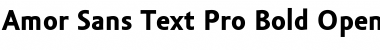 Amor Sans Text Pro Bold Font