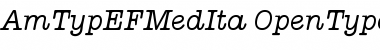 AmTypEFMedIta Font