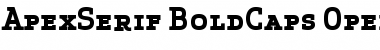 Apex Serif Bold Caps Font