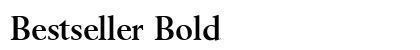 Bestseller Bold Preview