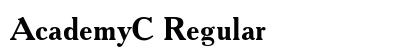 AcademyC Regular preview