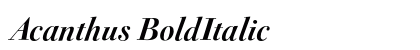 Acanthus BoldItalic preview