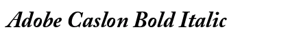 Adobe Caslon Bold Italic preview
