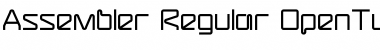 Assembler-Regular Font