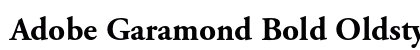 Adobe Garamond Bold Oldstyle Figures preview