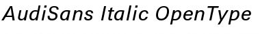AudiSans Italic Font