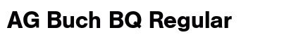 AG Buch BQ Regular preview
