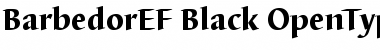 BarbedorEF-Black Regular Font