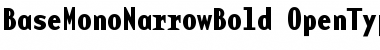 BaseMono NarrowBold Font