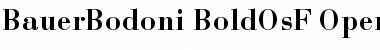 Bauer Bodoni Font