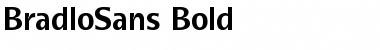 BradloSans Font