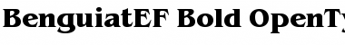 BenguiatEF-Bold Regular Font
