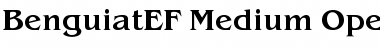 BenguiatEF-Medium Regular Font
