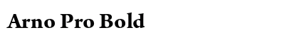 Arno Pro Bold Preview