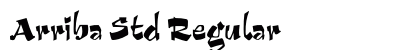 Arriba Std Regular