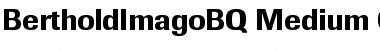 Berthold Imago BQ Font