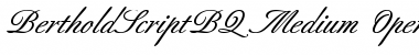 Berthold Script BQ Regular Font