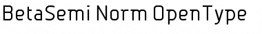BetaSemi Norm Font