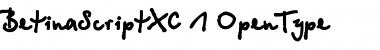 Download BetinaScriptXC Font