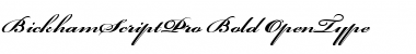 Bickham Script Pro Font