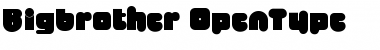 Bigbrother Font