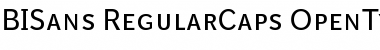 BISans RegularCaps Font