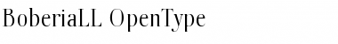 BoberiaLL Regular Font