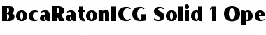 BocaRatonICG Solid Font