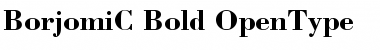 BorjomiC Bold Font