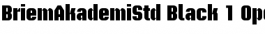 Briem Akademi Std Font