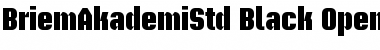 Briem Akademi Std Font