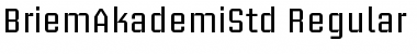 Briem Akademi Std Font